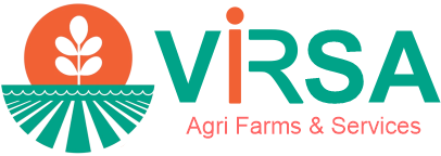 Virsa