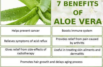 Aloe Vera Hair gel - Virsa