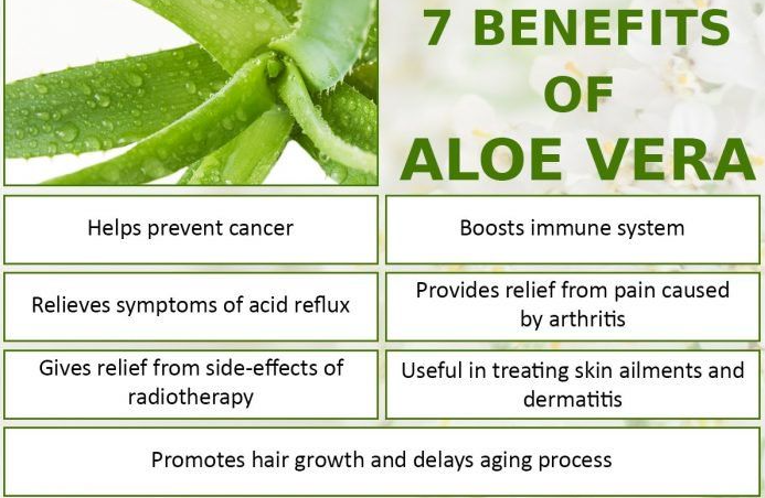 Aloe Vera Pain Relief Gel