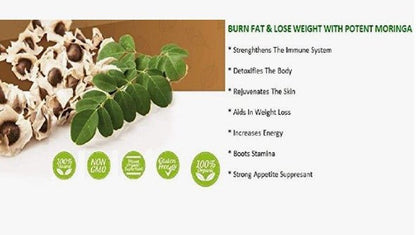 Moringa Seeds - Virsa