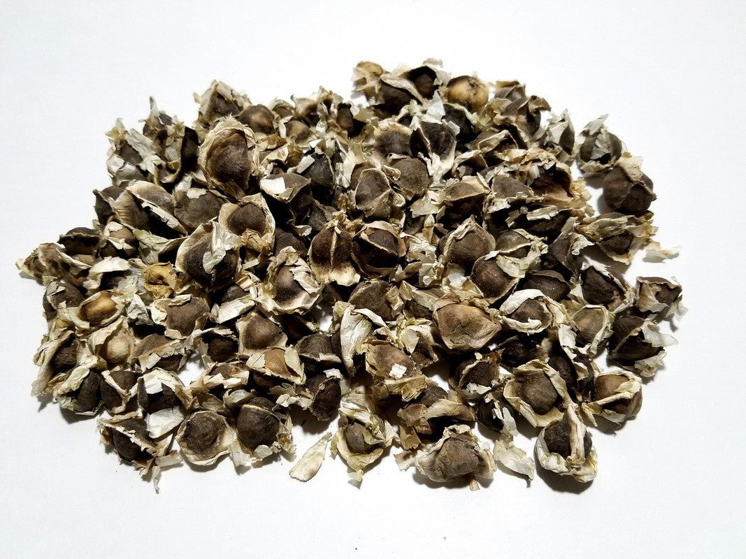 Moringa Seeds - Virsa